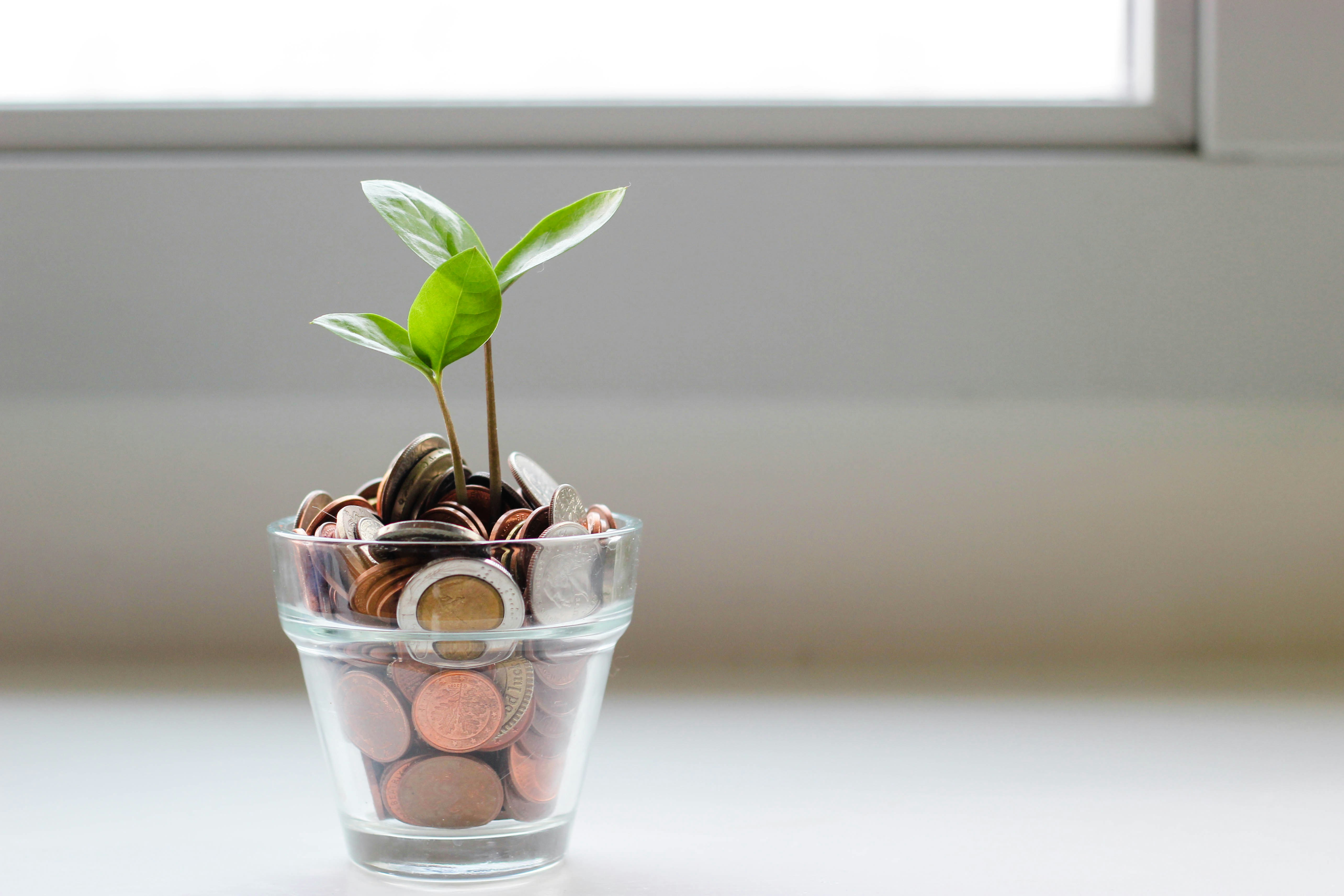 Business Impact & Commercial Growth